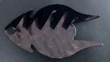 LEVIATHAN